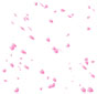 【限定】幕末桜エフェクト